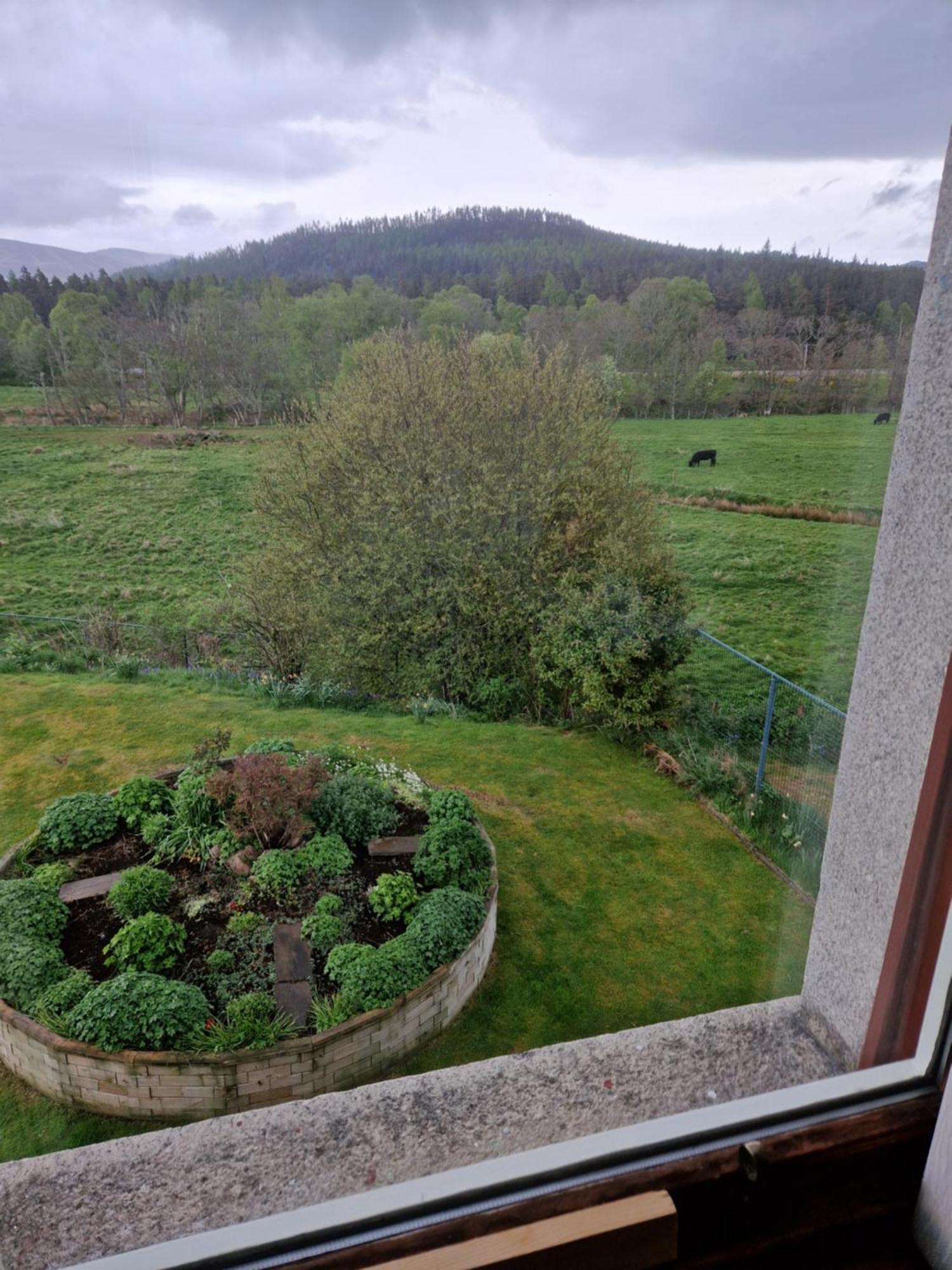 Bed and Breakfast Creag Meggan Ballater Habitación foto